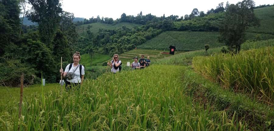 Chiang Mai: 2-Day Jungle Trek with Elephant Farm & Raft Ride - From Chiang Mai market to the Mae Wang River