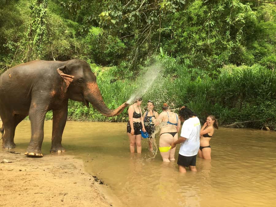 Chiang Mai: 2-Day Jungle Trek with Elephant Farm & Raft Ride - Uphill through bamboo forest to the Karen village