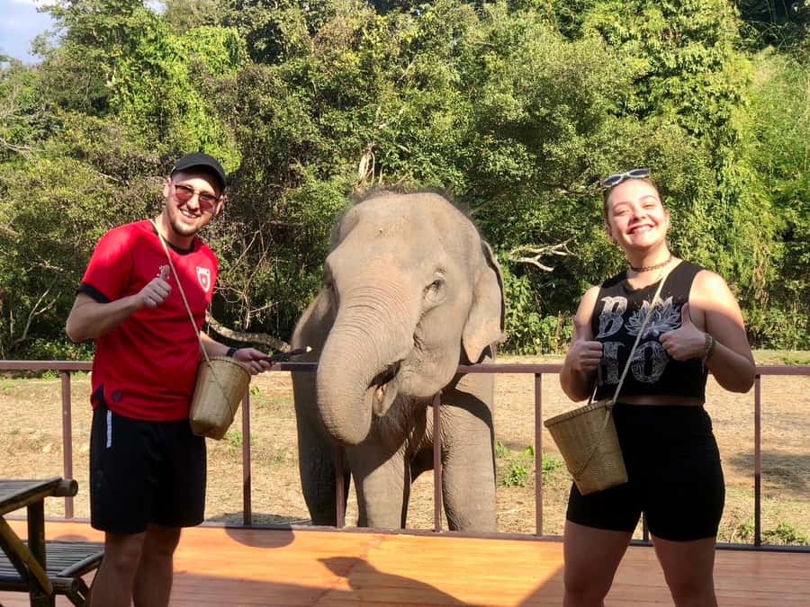Chiang Mai: 2-Day Tour with Rafting, Elephants, and Waterfall - Feeding, mud, and bathing with the elephants