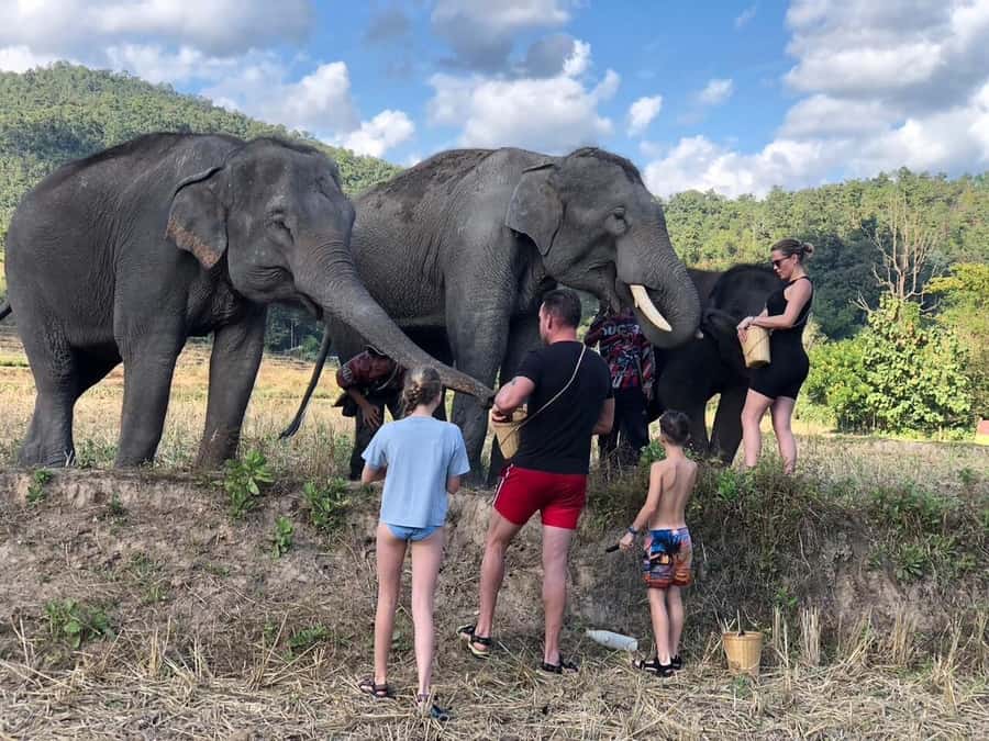 Chiang Mai: 2-Day Tour with Rafting, Elephants, and Waterfall - What the $173 price really covers