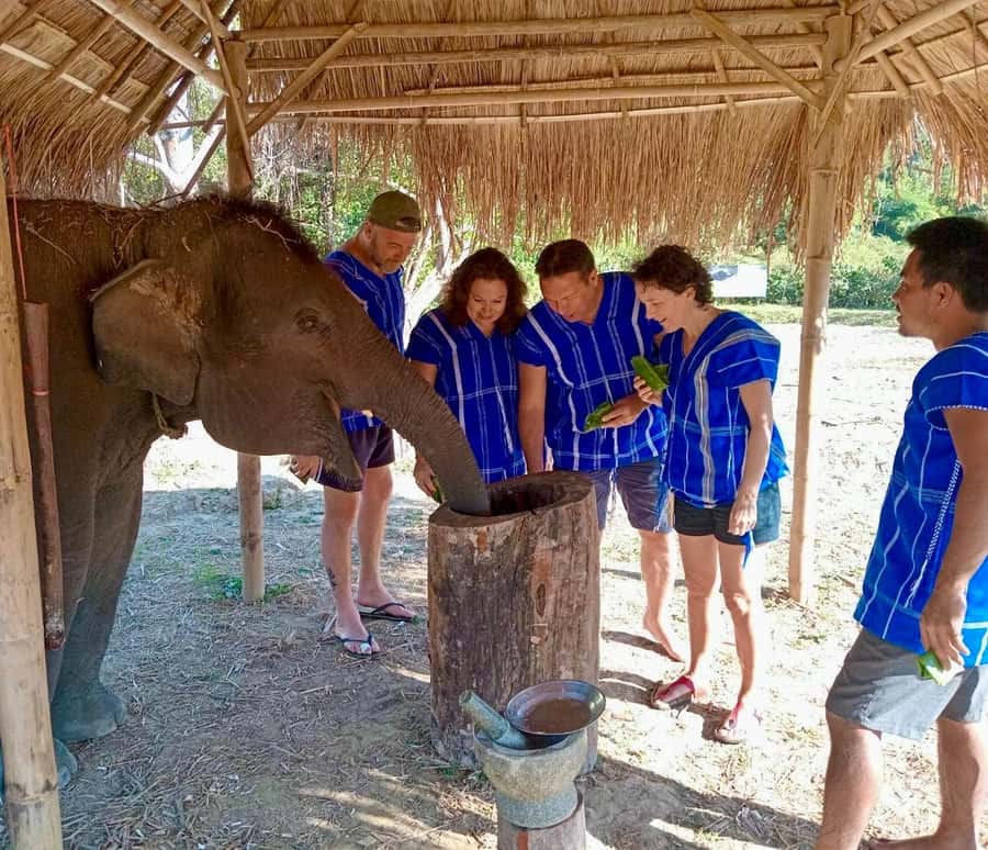 Chiang Mai: 2-Day Tour with Rafting, Elephants, and Waterfall - Who will enjoy this tour most