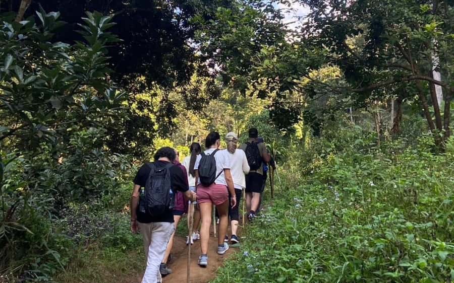 Chiang Mai: ATV Adventure, Jungle Hike & White Water Rafting - Who should book this Chiang Mai adventure?