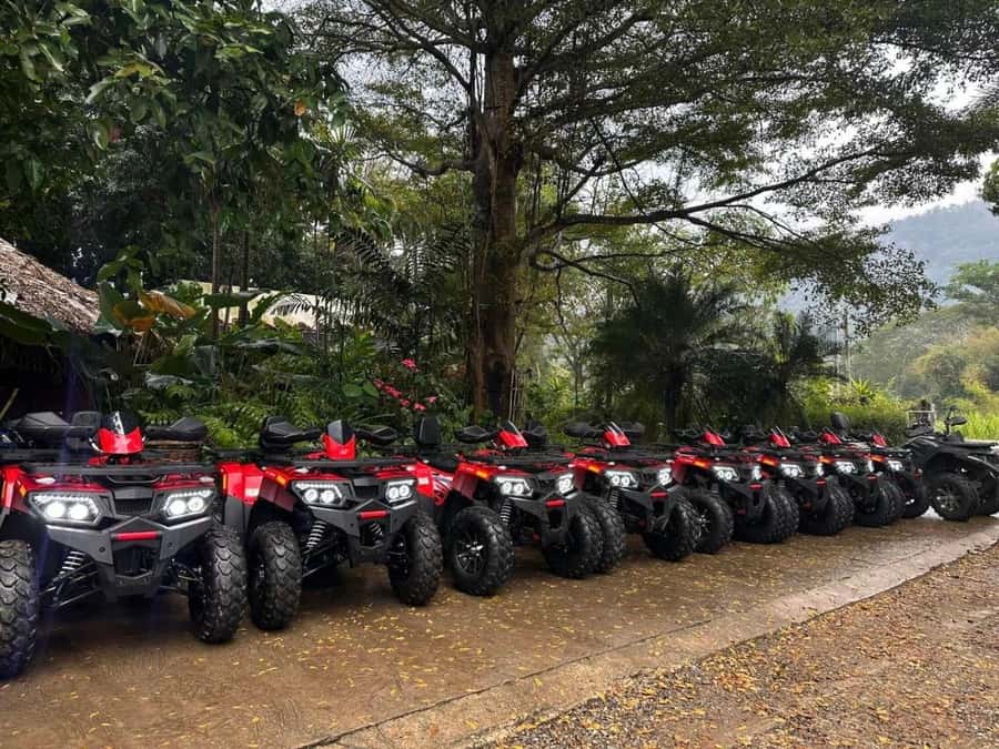 Chiang Mai: ATV, White Water Raft, & Sticky Waterfall Tour - Who should book this day