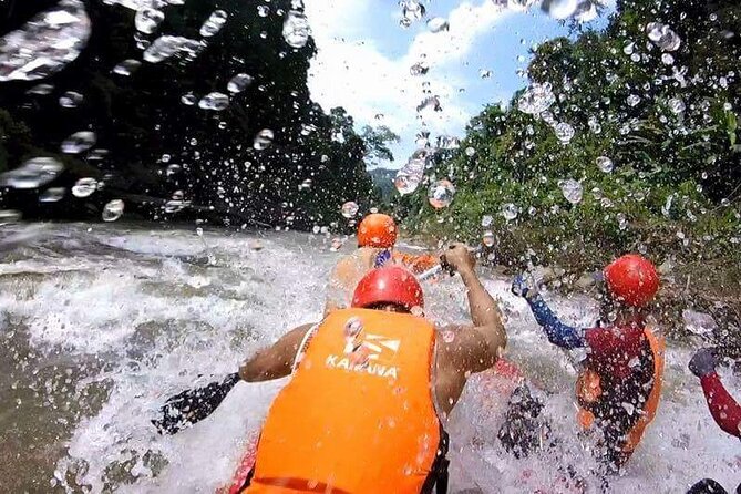 Chiang Mai ATV White Water Rafting and Elephant Sanctuary Full-Day Trip - What the $138.75 price covers