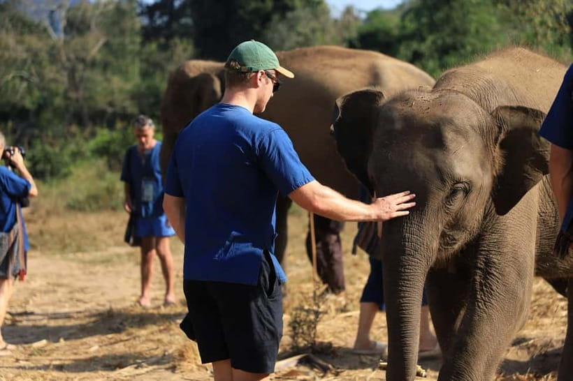 Chiang Mai: Elephant Sanctuary Bamboo Raft & Padthai Cooking - Why this Chiang Mai day trip works
