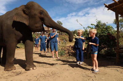 Elephant Sanctuary Bamboo Raft & Padthai Cooking