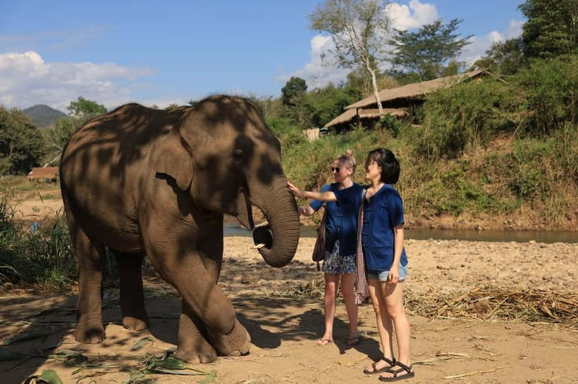 Chiang Mai: Elephant Sanctuary Bamboo Raft & Padthai Cooking - What $54 gets you
