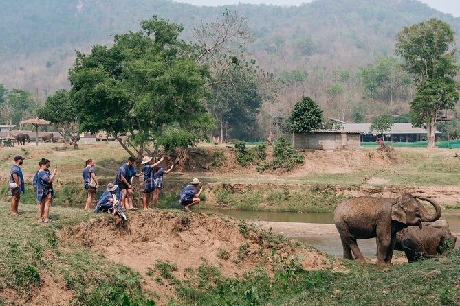 Chiang Mai Elephant Sanctuary, Bamboo Rafting and Waterfall Tour - Who should book this Chiang Mai day tour?