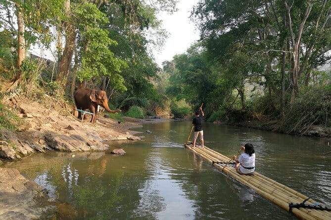 Chiang Mai Elephant Sanctuary Observation and Bamboo Rafting - Herbal tea, a waterfall, and a handmade souvenir