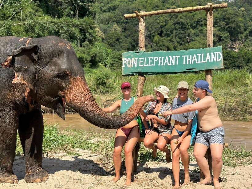 Chiang Mai: Elephant Sanctuary, Waterfall & Bamboo Rafting - From Chiang Mai to the Mae Wang countryside