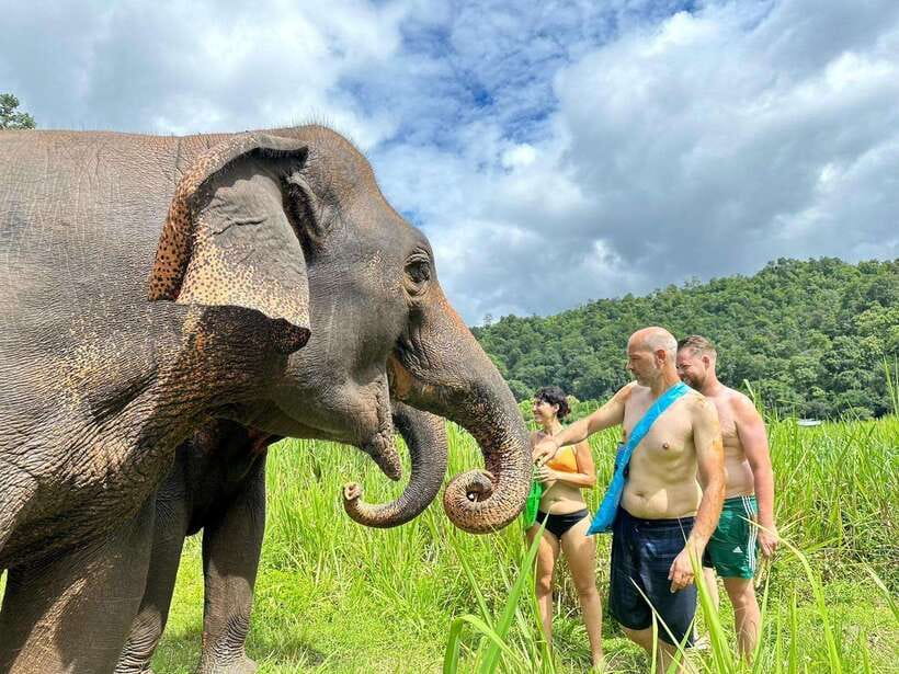 Chiang Mai: Elephant Sanctuary, Waterfall & Bamboo Rafting - Bathing with elephants in the river
