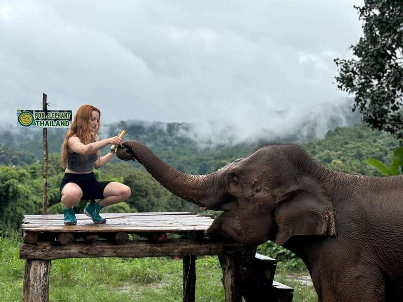 Chiang Mai: Elephant Sanctuary, Waterfall & Bamboo Rafting - Bamboo rafting on the Mae Wang River
