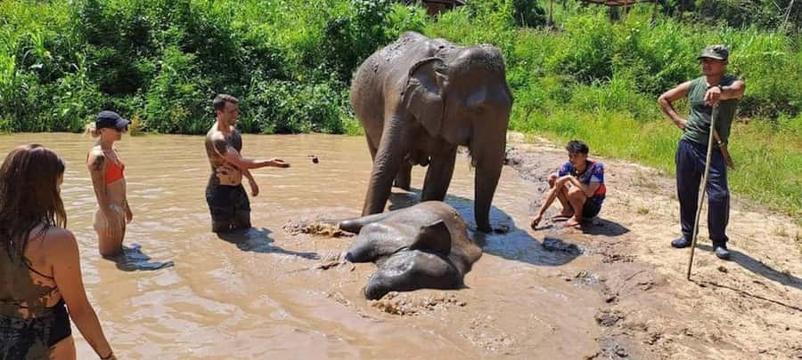 Chiang Mai Elephant Village Life: Long Neck & Bamboo Rafting - Meeting the mahouts and their elephants