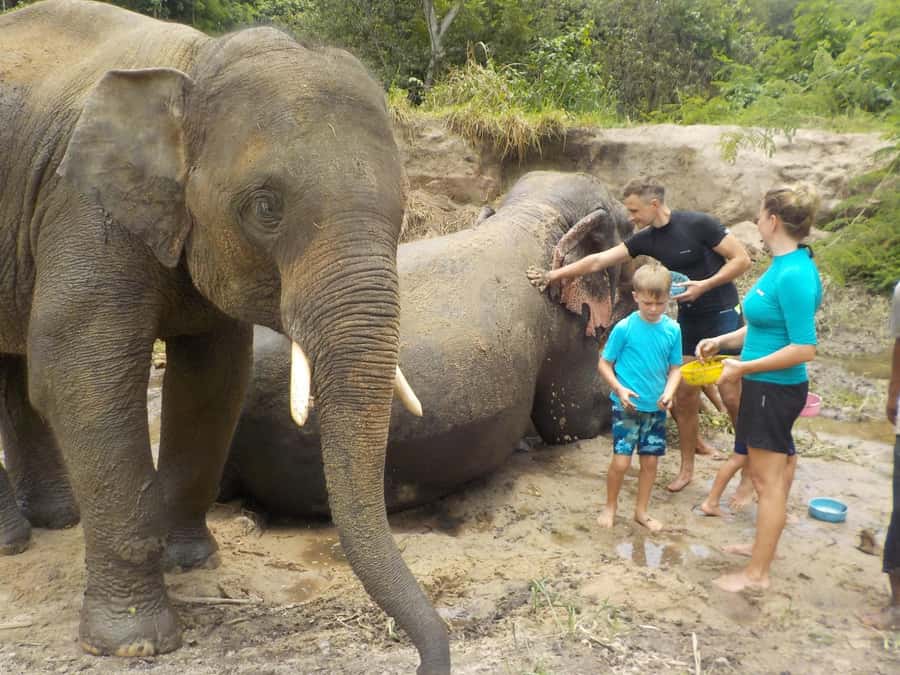 Chiang Mai Elephant Village Life: Long Neck & Bamboo Rafting - Lunch with the local community