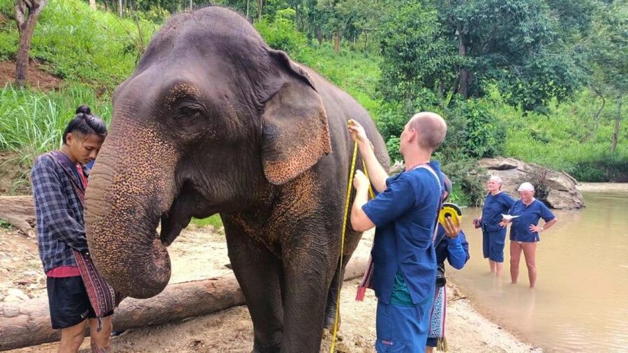 Chiang Mai Elephant Village Life: Long Neck & Bamboo Rafting - The Karen Hill Village question