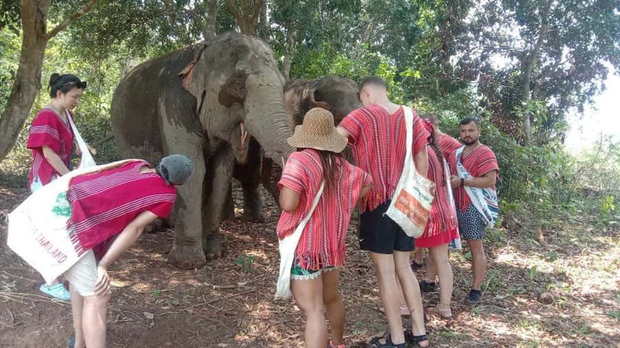 Chiang Mai Elephant Village Life: Long Neck & Bamboo Rafting - A peaceful 45-minute bamboo-raft ride