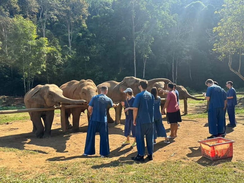 Chiang Mai: Elephants, Waterfall, and White Water Rafting - Key points to know before booking