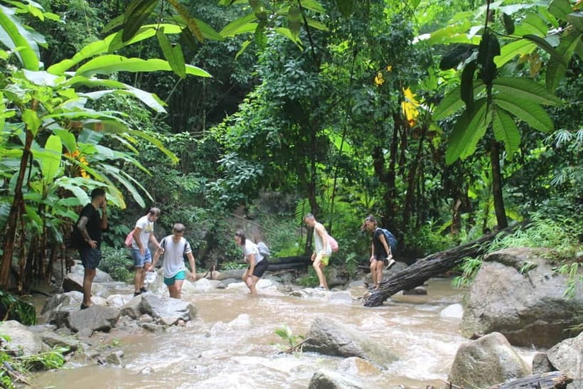 Chiang Mai: Elephants, Waterfall, and White Water Rafting - Should you book this Mae Taeng adventure?