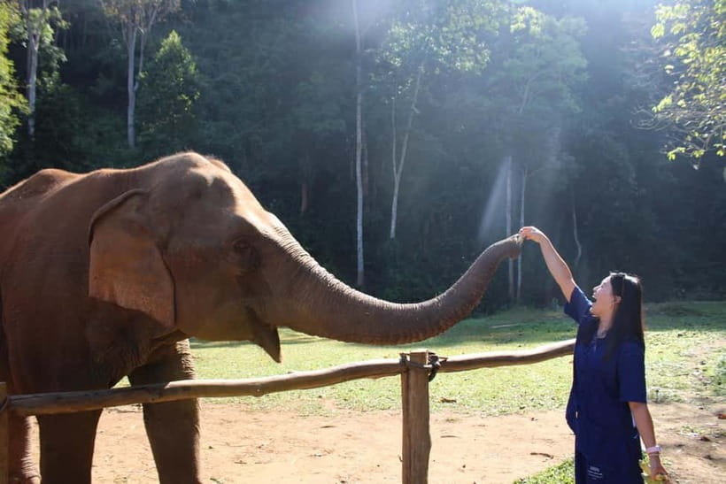 Chiang Mai: Elephants, Waterfall, and White Water Rafting - From Chiang Mai to the Mae Taeng jungle