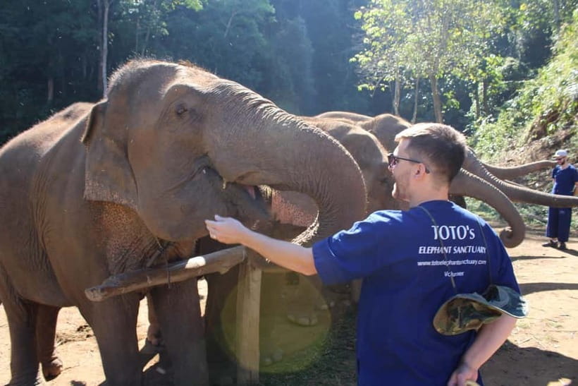 Chiang Mai: Elephants, Waterfall, and White Water Rafting - Thai lunch and a needed pause