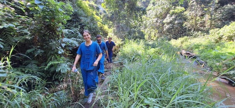 Chiang Mai: Elephants, Waterfall, and White Water Rafting - Walking with rescued elephants, not riding them