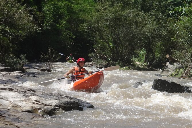 Chiang Mai: Jungle Kayak Adventure with Rapids & Elephants - Elephants Along the Riverbank
