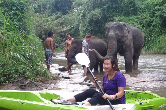 Chiang Mai: Jungle Kayak Adventure with Rapids & Elephants - What the $81.24 Price Really Covers