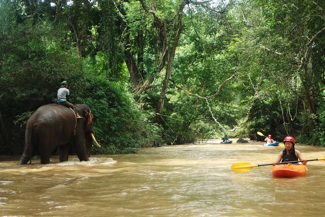 Chiang Mai: Jungle Kayak Adventure with Rapids & Elephants - Who Should Book This River Trip?