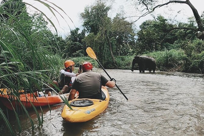 Chiang Mai: Jungle Kayak Adventure with Rapids & Elephants - Choosing the Right Kayak for Your Skill Level