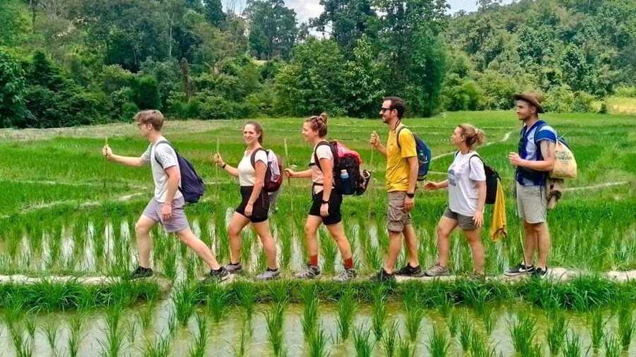 Chiang Mai: Jungle Trek, Elephants care & Bamboo Rafting - What the $58 price includes