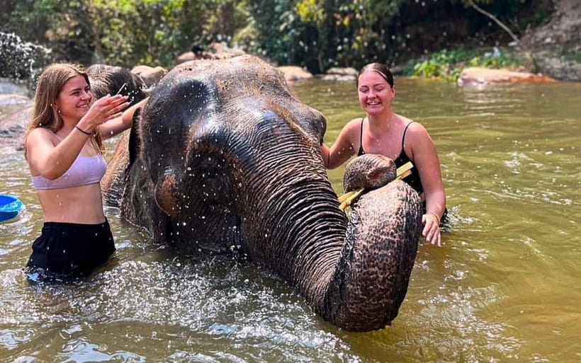 Chiang Mai: Jungle Trek, Elephants care & Bamboo Rafting - Bamboo rafting on the Mae Win river