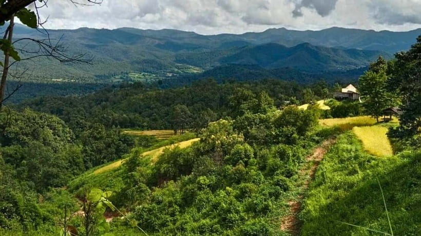 Chiang Mai: Jungle Trek, Elephants care & Bamboo Rafting - Trekking toward the Karen Hill Tribe Village