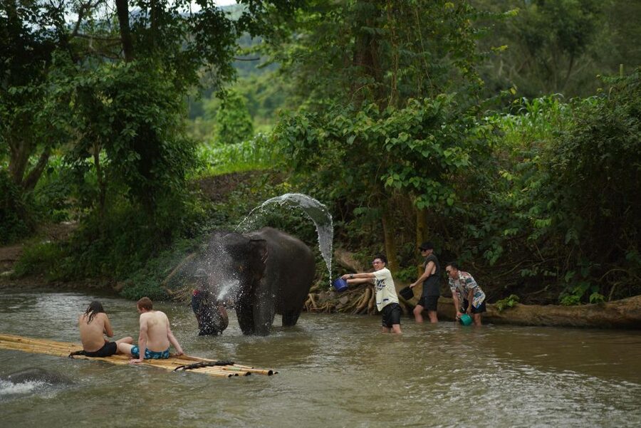 Chiang Mai: National Elephant Care, Rafting, & Ziplines Trip - The 8:00 AM pickup and ride south from Chiang Mai