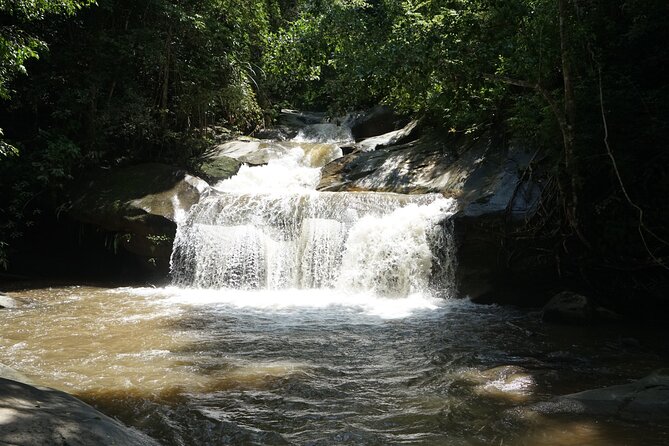 Chiang Mai Trekking Tour :Full day (no rafting) - Key things to know before you book