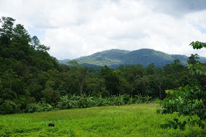 Chiang Mai Trekking Tour :Full day (no rafting) - Cooling off at the waterfall