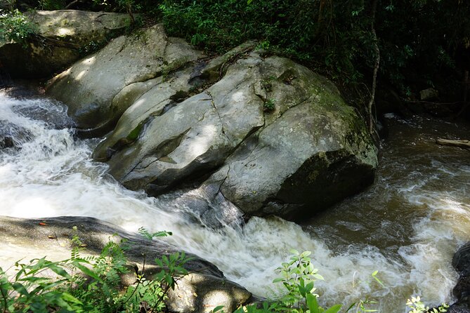 Chiang Mai Trekking Tour :Full day (no rafting) - Who should book this experience?