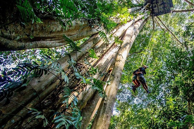 Chiang Mai Zipline White Water Rafting and Elephant Sanctuary - Who will enjoy this day most?