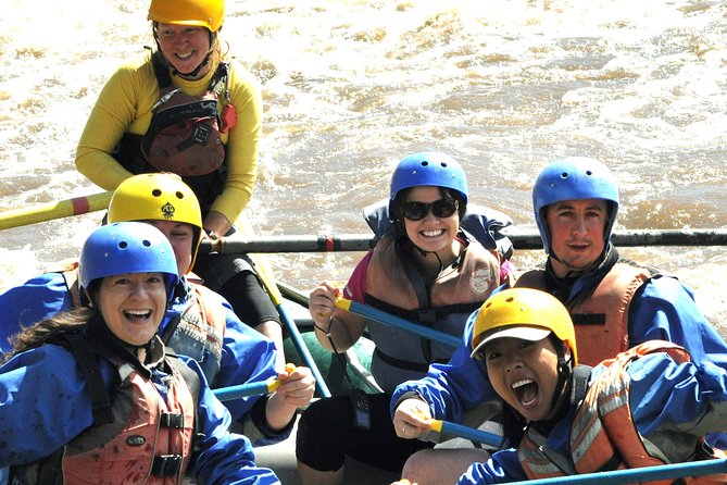 Classic Salt River Raft Trip - Why the Salt River makes a strong day trip