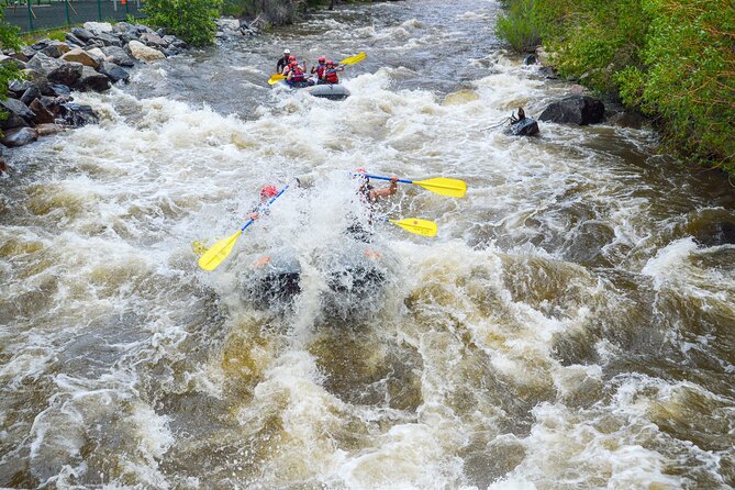 Clear Creek Intermediate 2h 30m Rafting Trip - Idaho Springs, CO - Why Clear Creek makes a strong half-day adventure