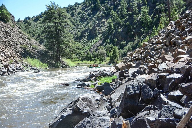 Colorado River Whitewater Rafting: Half Day Trip - Getting to Rancho Del Rio in Bond