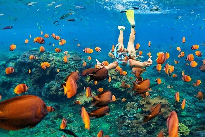 Combination Tour: Ayung river rafting With Blue Lagoon Snorkeling - How the two activities compare