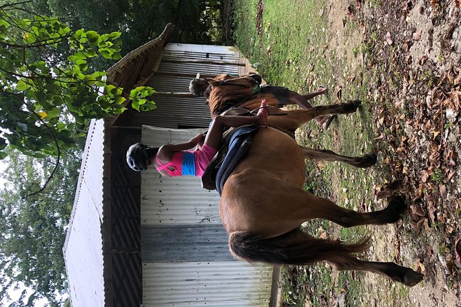 Customize Day Tour In Ochi (Horseback Riding,Rafting,Blue Hole, Dunns River ) - White River bamboo rafting for a quiet start