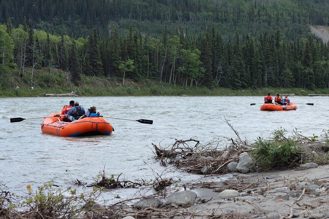 Denali Rafting Wilderness Wave - Who Should Choose This Denali Adventure?
