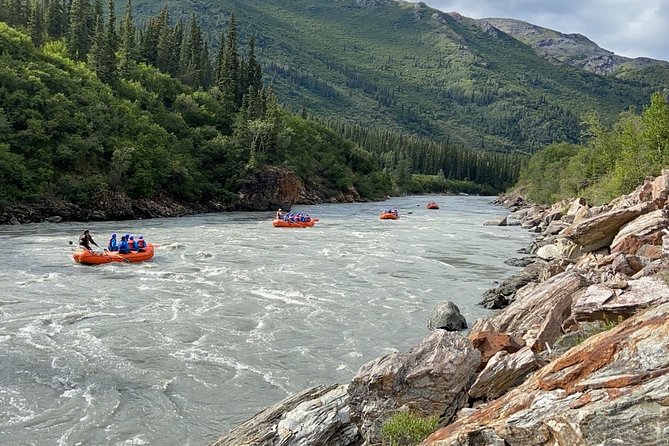 Denali Rafting Wilderness Wave - Why the Mountain Views Matter
