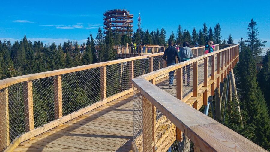 Dunajec River Gorge Rafting and Tree Top Walk from Krakow - Who should book this excursion?