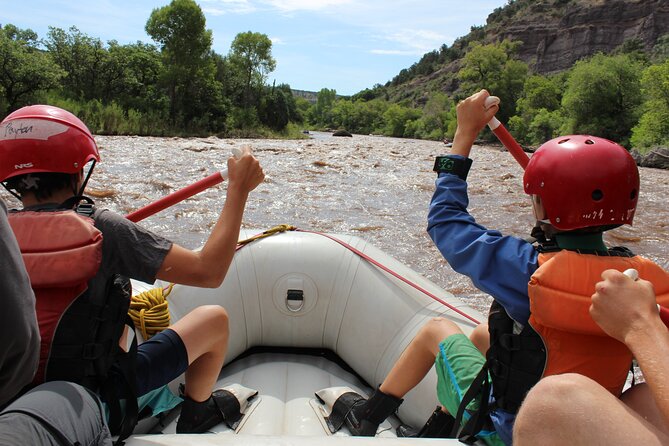 Durango 1/4 Day Rafting Trip - Lower Animas River - One Hour on the Animas River