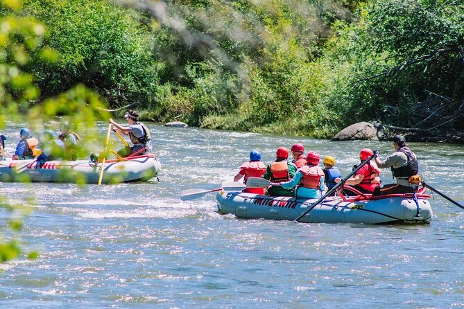 Durango 3/4 Day Rafting Trip with Lunch - Lower Animas River - What the Lower Animas trip is really like
