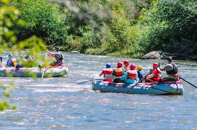 Durango 3/4 Day Rafting Trip with Lunch - Lower Animas River - Who should book this Lower Animas adventure