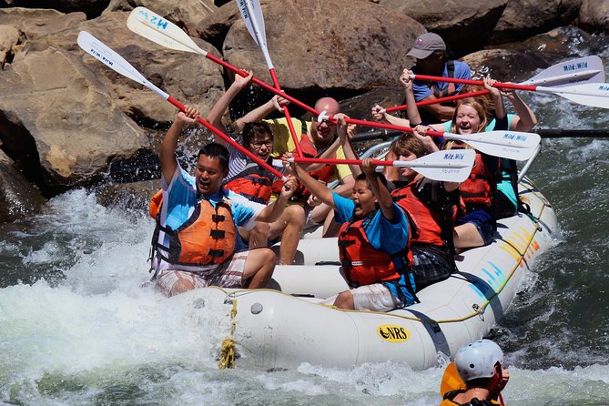 Durango Half Day Rafting Trip - Lower Animas River - Key points to know before booking