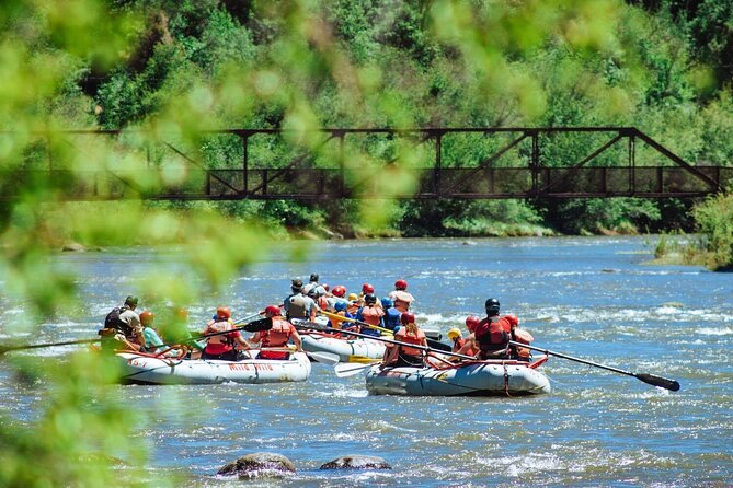 Durango Half Day Rafting Trip - Lower Animas River - Smelter Rapid and the riverbank snack stop